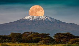 aventuri pe kilimanjaro